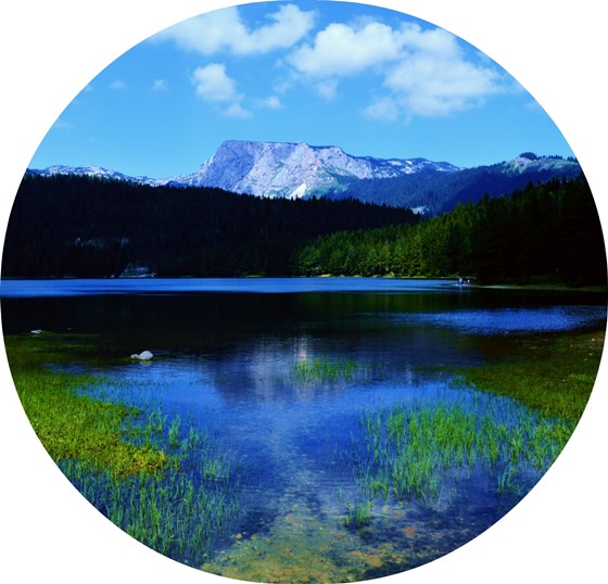 Фотография: Рай